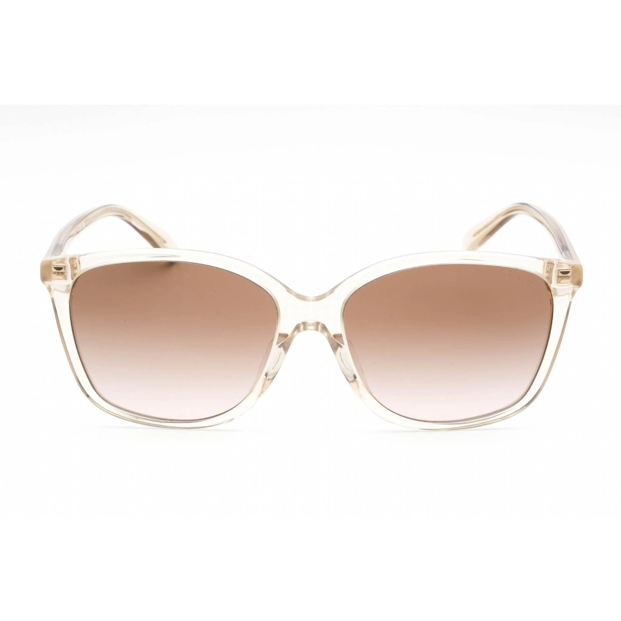 Coach Women's Sunglasses - Transparent Fawn Plastic Cat Eye Frame | 0HC8361U 573613
