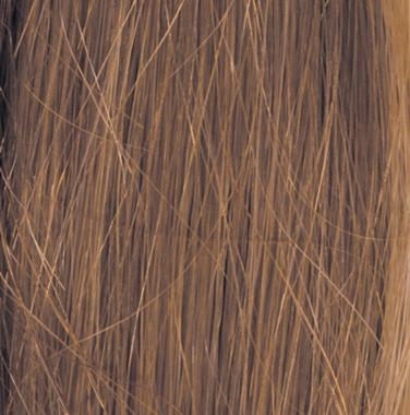 Human Hair Clip-In Bangs by Raquel Welch | (Hand Knotted Monofilament Base)