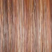 Model Mode Wig by Raquel Welch | Mono Part