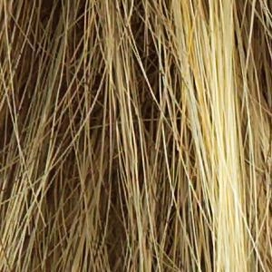 Sparkle Elite Wig by Raquel Welch | Synthetic (Lace Front Mono Top)