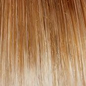 Sweet Talk Large Wig by Gabor | Synthetic (Lace Front Mono Top)